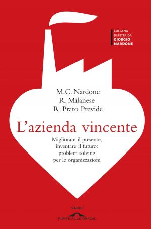 Cover of the book L'azienda vincente by Eric Alonso Frattini