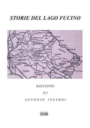 Cover of the book Storie Del Lago Fucino by WP Gatley
