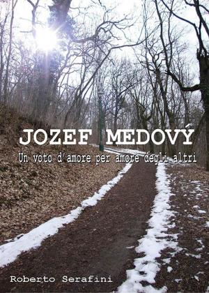 Cover of the book Jozef Medový by Rudy Tarantino