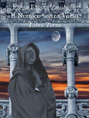 Cover of the book Il Nemico senza Volto - Libro Terzo by Fallon Brown
