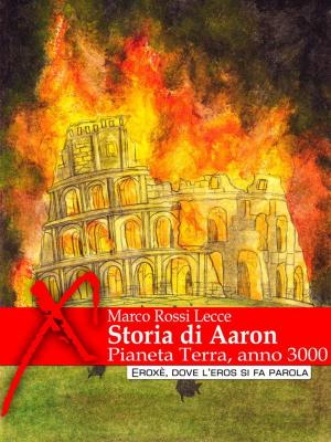 Cover of the book Storia di Aaron by Andrea Lagrein, Kiara Olsen