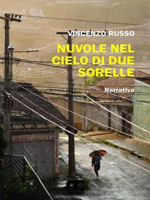 Cover of the book Nuvole nel cielo di due sorelle by Francesco Luca Borghesi