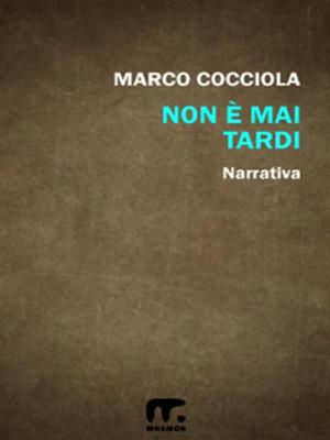 Cover of the book Non è mai tardi by Stefano Versace