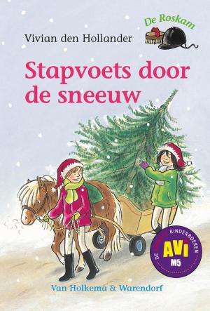 Cover of the book Stapvoets door de sneeuw by Dolf de Vries