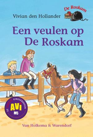 Cover of the book Een veulen op de Roskam by Dolf de Vries
