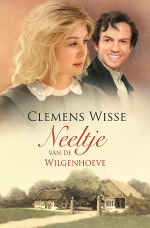 Book cover of Neeltje van de Wilgenhoeve