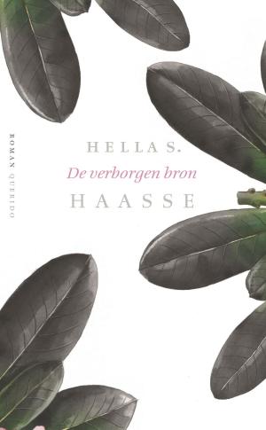Cover of the book De verborgen bron by Theun de Vries