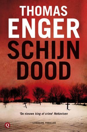 Cover of the book Schijndood by Brandon Sanderson