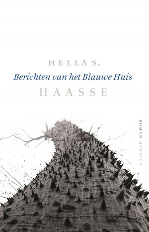 Cover of the book Berichten van het Blauwe Huis by Toon Tellegen