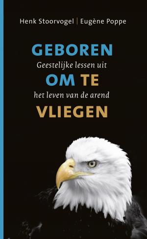 Cover of the book Geboren om te vliegen by Claire Sandy