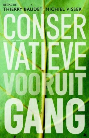 Cover of the book Conservatieve vooruitgang by Martin Bril