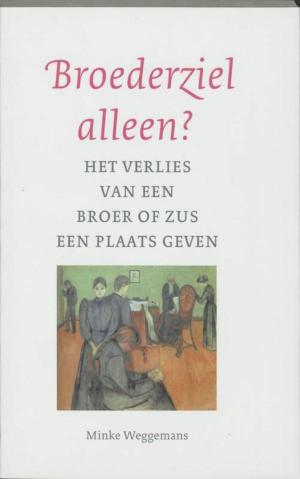 Cover of the book Broederziel alleen by Margrit Coates