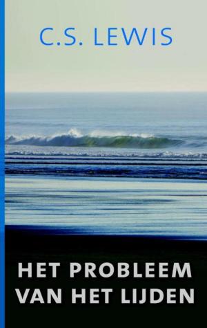Cover of the book Het probleem van het lijden by Jules Evans