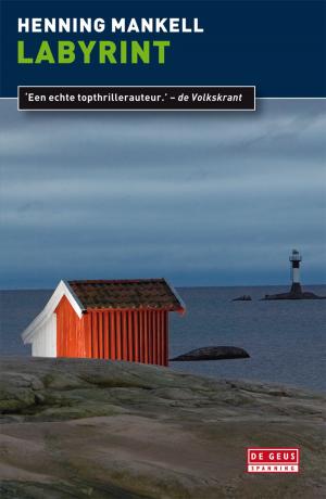 Cover of Labyrint by Henning Mankell, Singel Uitgeverijen