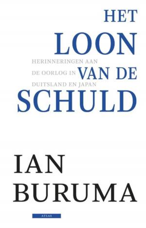 Cover of the book Het loon van de schuld by Lieve Joris