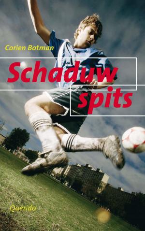 Cover of the book Schaduwspits by Koos van Zomeren