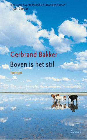 Cover of the book Boven is het stil by Dola de Jong