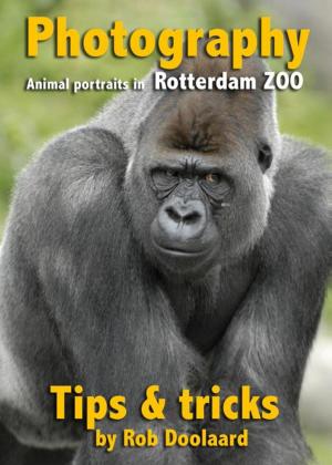 Cover of the book Photography: animal portraits in the ZOO by Sean Arbabi