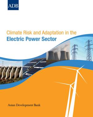 Book cover of Climate Risk and Adaptation in the Electric Power Sector
