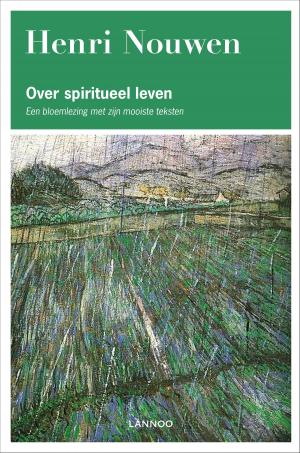 Book cover of Over spiritueel leven