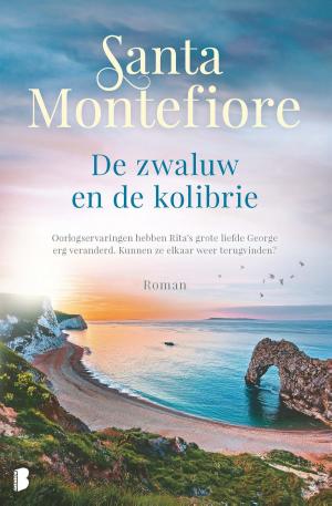 Cover of the book De zwaluw en de kolibrie by Patrick Modiano