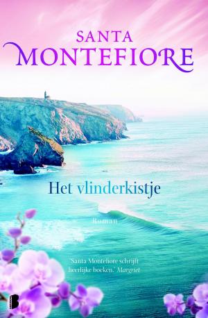 Cover of the book Het vlinderkistje by Antoine Rouaud