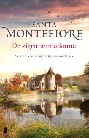Cover of the book De zigeunermadonna by Jeffery Deaver