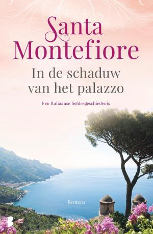 Cover of the book In de schaduw van het palazzo by G. Lenotre