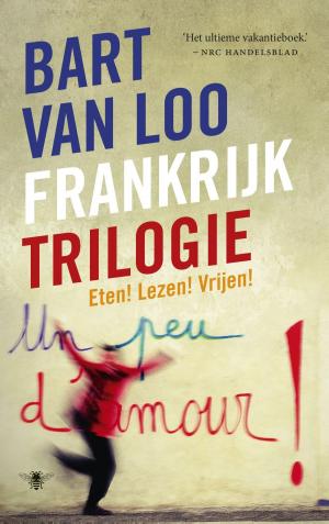 Cover of the book Frankrijktrilogie by Cees Nooteboom