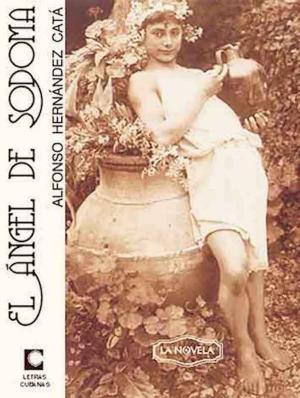 Cover of the book El ángel de Sodoma by Elizabeth Baillie