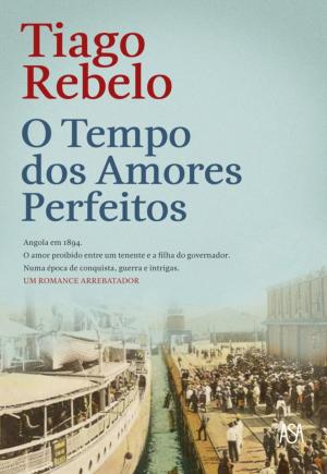 Cover of the book O Tempo dos Amores Perfeitos by Michaela Deprince