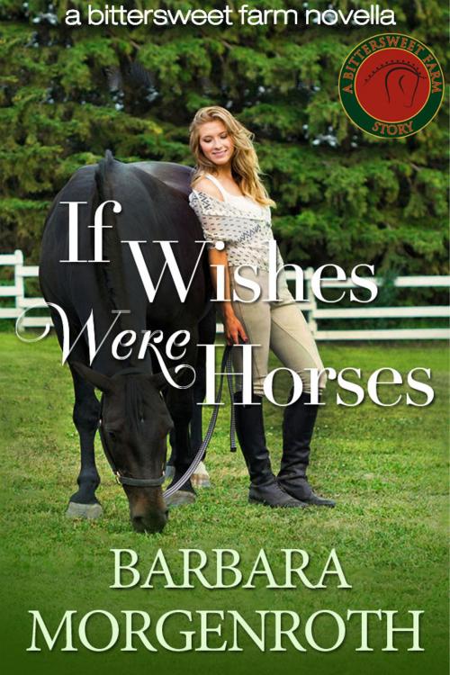 Cover of the book If Wishes Were Horses by Barbara Morgenroth, DashingBooks