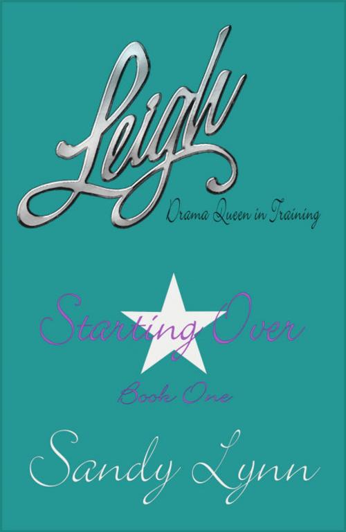 Cover of the book Starting Over by Sandy Lynn, Mojocastle Press LLC