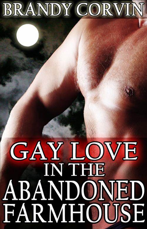 Cover of the book Gay Love in the Abandoned Farmhouse by Brandy Corvin, A.B. Publishing