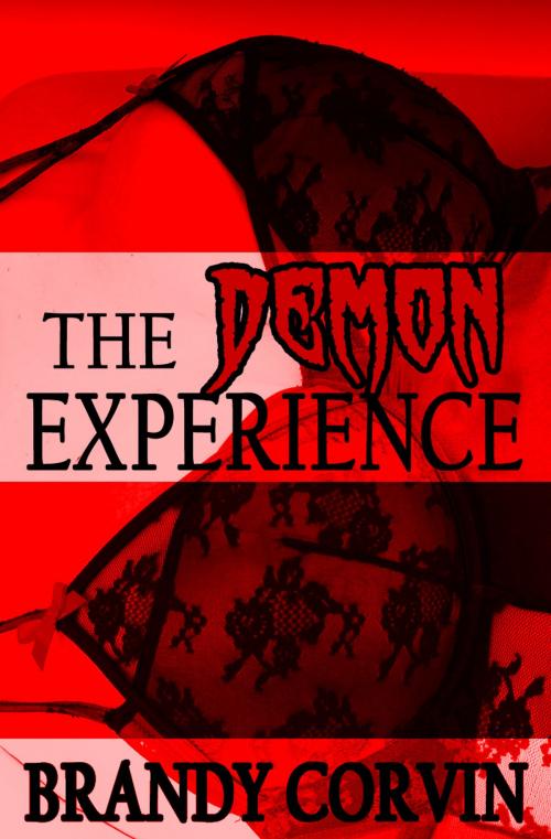 Cover of the book The Demon Experience by Brandy Corvin, A.B. Publishing