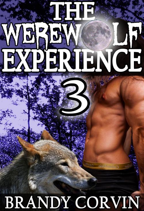 Cover of the book The Werewolf Experience 3 by Brandy Corvin, A.B. Publishing