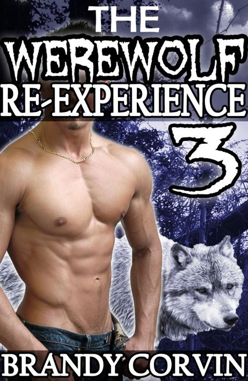 Cover of the book The Werewolf Re-Experience 3 by Brandy Corvin, A.B. Publishing