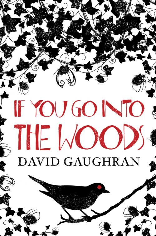 Cover of the book If You Go Into The Woods by David Gaughran, Arriba Arriba Books