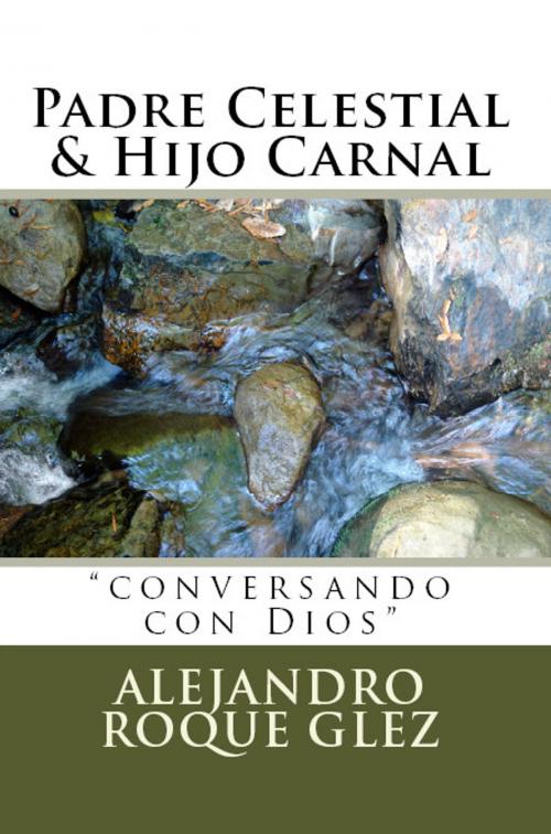 Cover of the book Padre Celestial & Hijo Carnal . by Alejandro Roque Glez, Alejandro's Libros