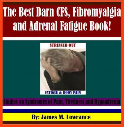 Cover of the book The Best Darn CFS, Fibromyalgia and Adrenal Fatigue eBook! by James Lowrance, James M. Lowrance