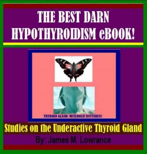 Cover of the book The Best Darn Hypothyroidism Ebook! by James Lowrance, James M. Lowrance