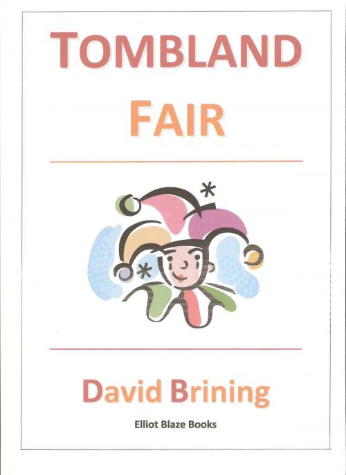 Cover of the book Tombland Fair by David Brining, David Brining