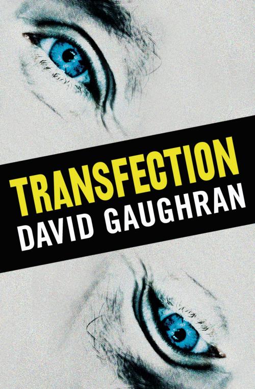 Cover of the book Transfection by David Gaughran, Arriba Arriba Books