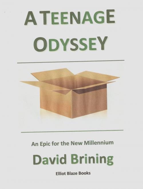 Cover of the book A Teenage Odyssey by David Brining, David Brining
