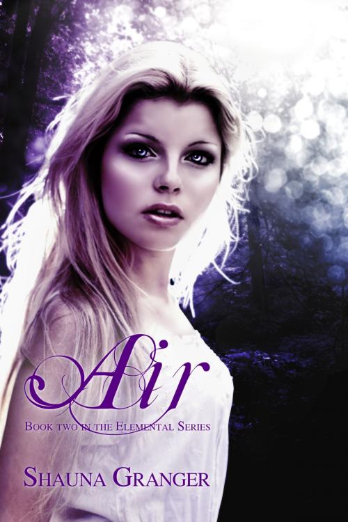 Cover of the book Air by Shauna Granger, Shauna Granger