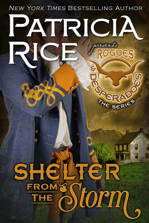 Cover of the book Shelter From the Storm by Patricia Rice, Book View Cafe