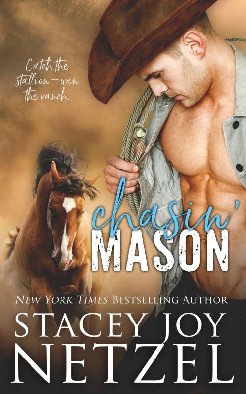 Cover of the book Chasin' Mason by Stacey Joy Netzel, Stacey Joy Netzel