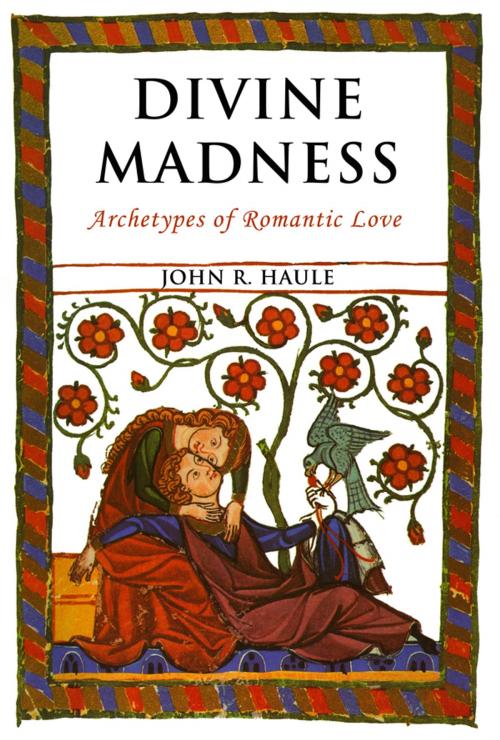 Cover of the book Divine Madness by John Ryan Haule, Fisher King Press