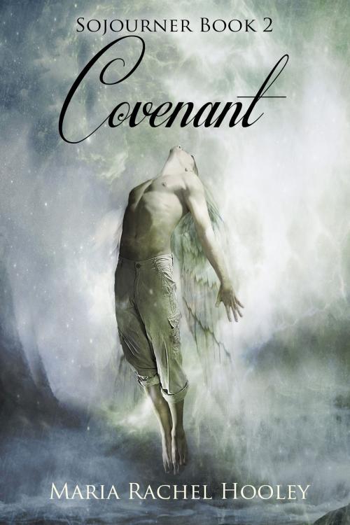 Cover of the book Covenant by Maria Rachel Hooley, Maria Rachel Hooley