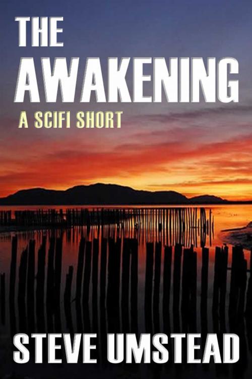 Cover of the book The Awakening by Steve Umstead, ReactionMass Media